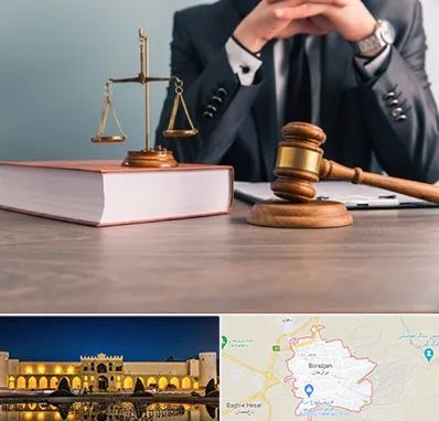 وکیل قتل در برازجان