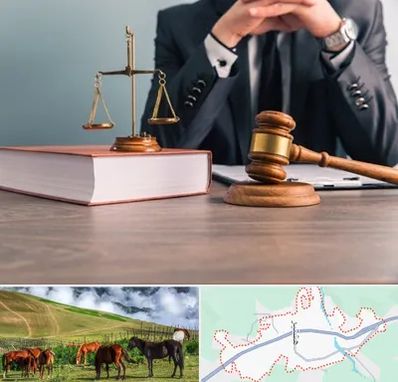 وکیل قتل در تالش