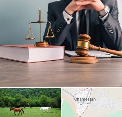 وکیل قتل در چمستان