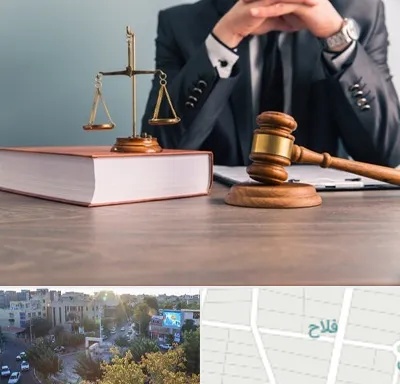 وکیل قتل در فلاح