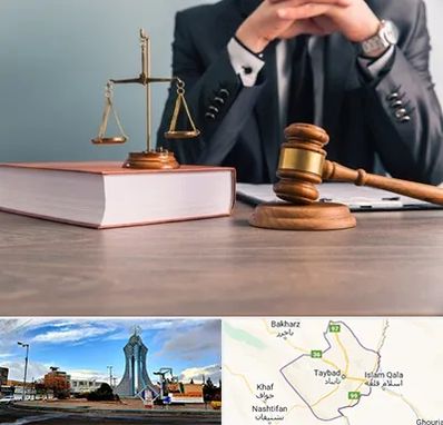 وکیل قتل در تایباد