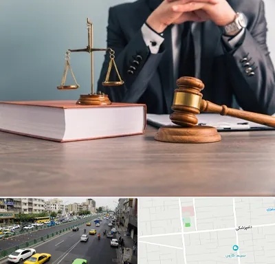 وکیل قتل در خیابان دامپزشکی
