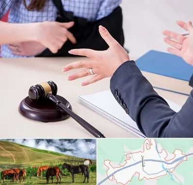 وکیل مواد مخدر در تالش