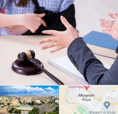 وکیل مواد مخدر در میانه