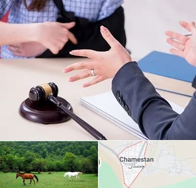 وکیل مواد مخدر در چمستان