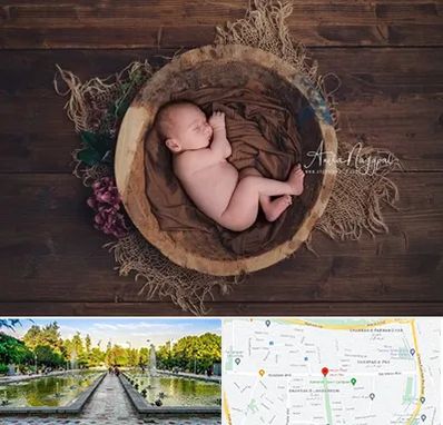 عکاسی نوزاد در سرسبز 