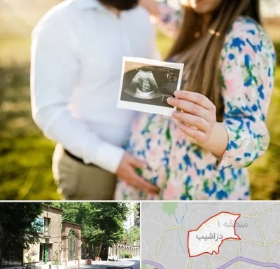 عکاسی بارداری در دزاشیب