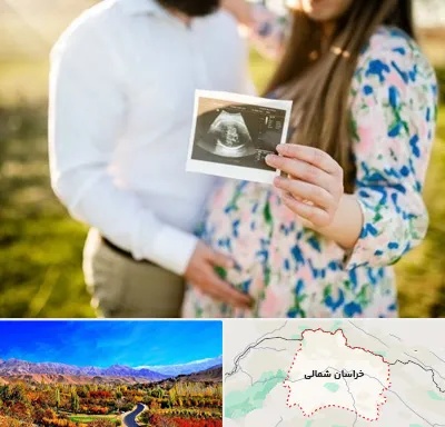 عکاسی بارداری در خراسان شمالی