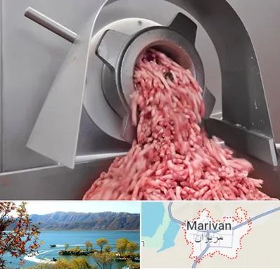 فروش چرخ گوشت صنعتی در مریوان