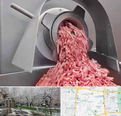 فروش چرخ گوشت صنعتی در باغ فیض 