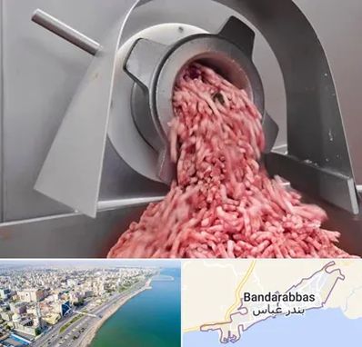 فروش چرخ گوشت صنعتی در بندرعباس