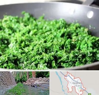 دستگاه سبزی خرد کن صنعتی در سراوان