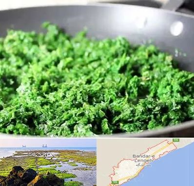 دستگاه سبزی خرد کن صنعتی در بندرلنگه