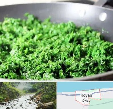 دستگاه سبزی خرد کن صنعتی در رویان