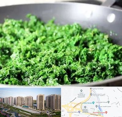 دستگاه سبزی خرد کن صنعتی در المپیک 