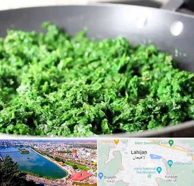 دستگاه سبزی خرد کن صنعتی در لاهیجان