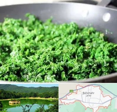 دستگاه سبزی خرد کن صنعتی در بهشهر