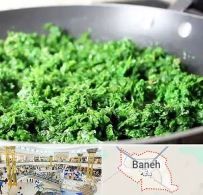 دستگاه سبزی خرد کن صنعتی در بانه