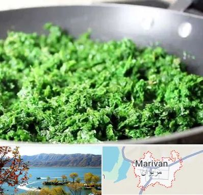 دستگاه سبزی خرد کن صنعتی در مریوان