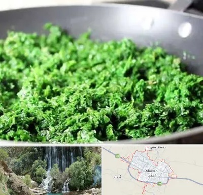 دستگاه سبزی خرد کن صنعتی در شیروان