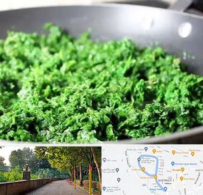 دستگاه سبزی خرد کن صنعتی در فلکه گاز رشت 