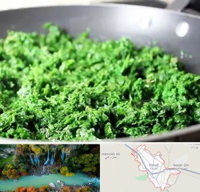 دستگاه سبزی خرد کن صنعتی در دورود