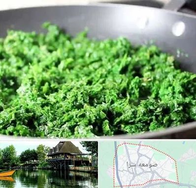 دستگاه سبزی خرد کن صنعتی در صومعه سرا