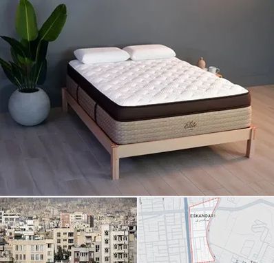 تشک طبی در اسکندری