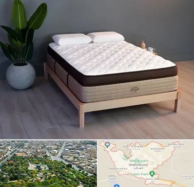 تشک طبی در شهرکرد