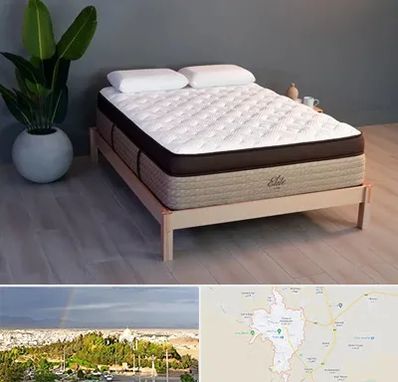 تشک طبی در تربت حیدریه