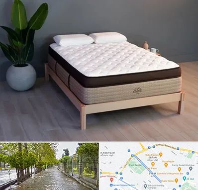 تشک طبی در خیابان ارم شیراز 