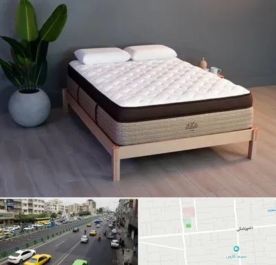 تشک طبی در خیابان دامپزشکی