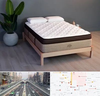 تشک طبی در توحید 