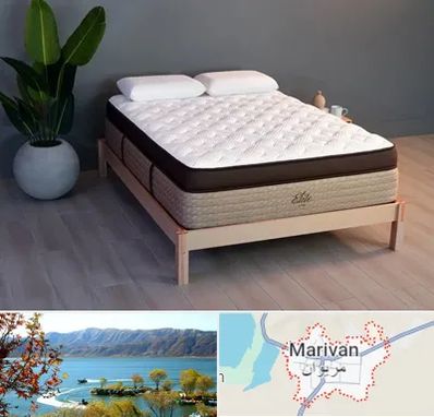 تشک طبی در مریوان