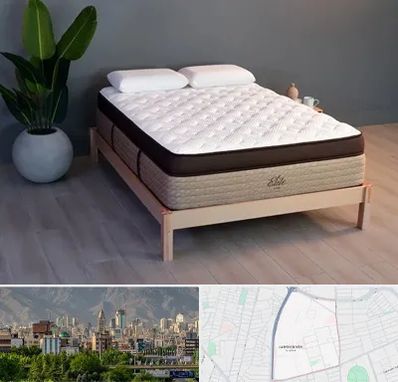 تشک طبی در جمشیدیه