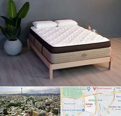 تشک طبی در گیشا 