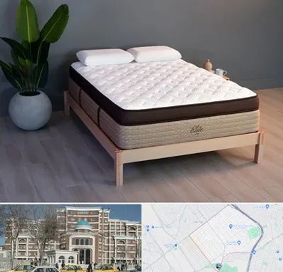 تشک طبی در طلاب مشهد