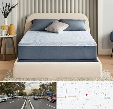 تولیدی تشک در دولت 