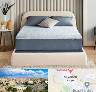 تولیدی تشک در میانه