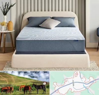 تولیدی تشک در تالش