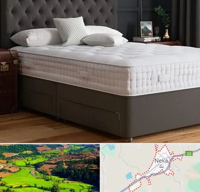 نمایندگی تشک رویا در نکا