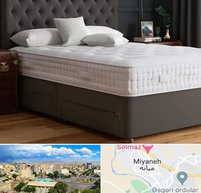 نمایندگی تشک رویا در میانه