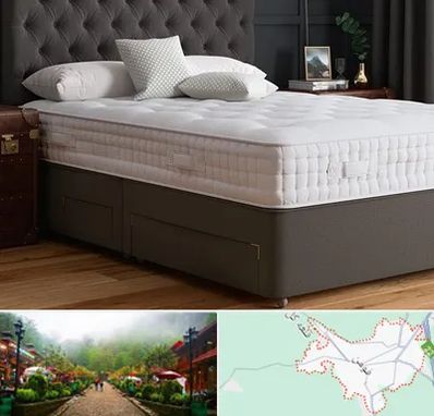 نمایندگی تشک رویا در فومن