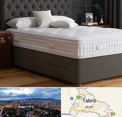 نمایندگی تشک رویا در تبریز