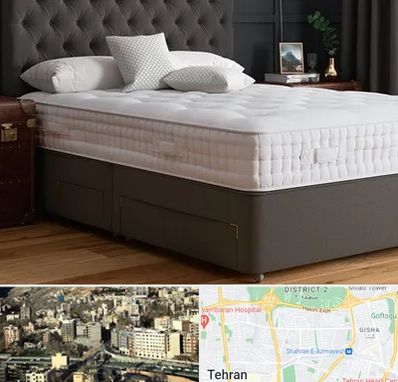 نمایندگی تشک رویا در مرزداران 