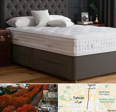 نمایندگی تشک رویا در ولیعصر 