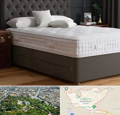 نمایندگی تشک رویا در شهرکرد