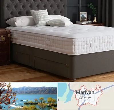 نمایندگی تشک رویا در مریوان