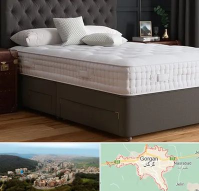 نمایندگی تشک رویا در گرگان