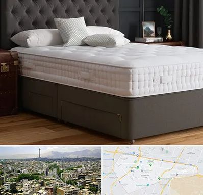 نمایندگی تشک رویا در منطقه 8 تهران 